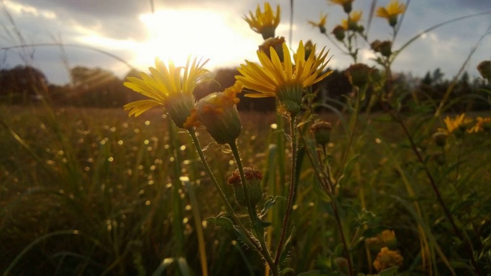 Dự báo thời tiết đêm nay và ngày mai 21 22 8 du bao thoi tiet dem nay va ngay mai 21 228