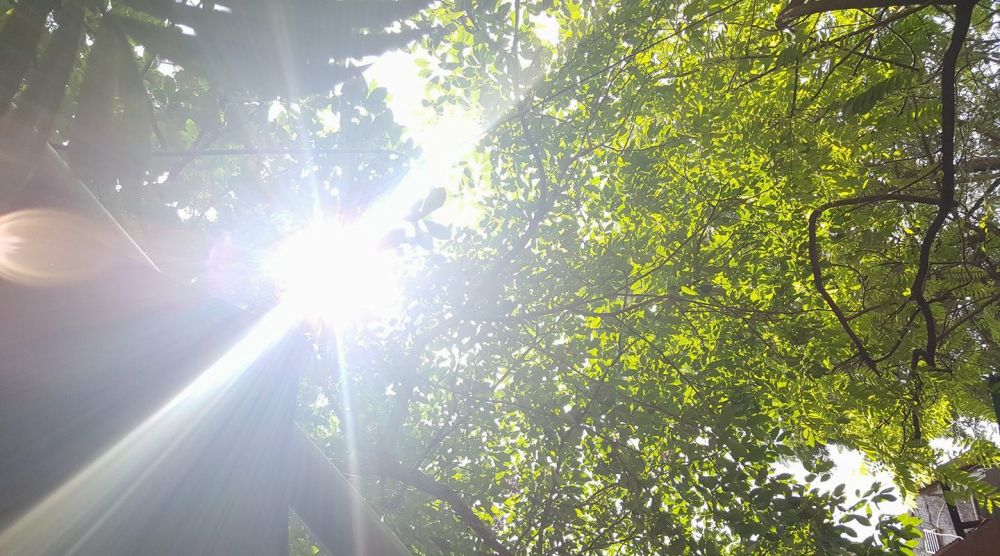 Ảnh minh họa. (Nguồn: kinhtedothi.vn) 0542-nyng-myi