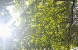 Dự báo thời tiết đêm nay và ngày mai (23-24/8): Chiều tối mưa dông vài nơi, một số nơi nắng nóng