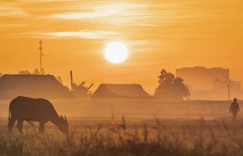 Ngoại ô Sài Gòn đẹp tựa phim trong buổi bình minh