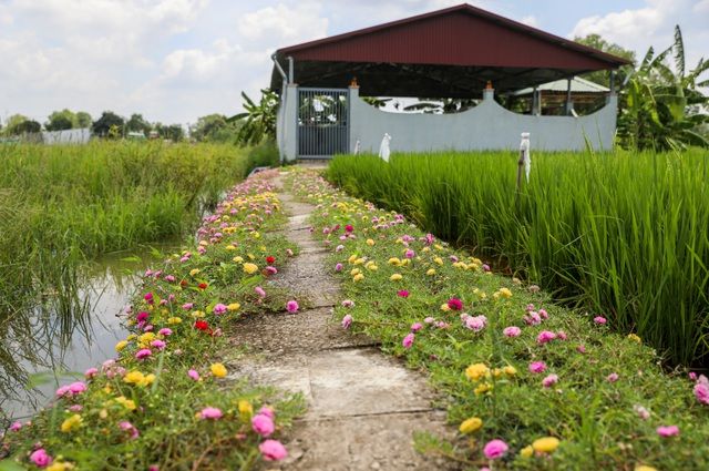 con duong hoa muoi gio tuyet dep o sai gon