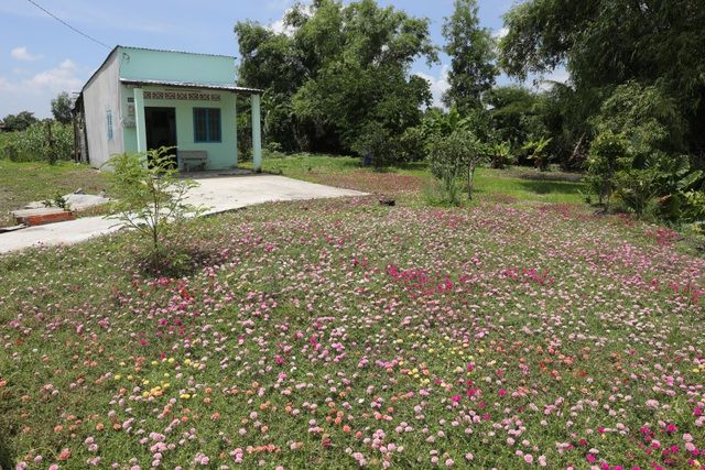 con duong hoa muoi gio tuyet dep o sai gon