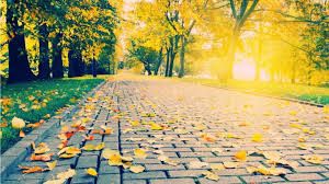 Ảnh minh họa. (Nguồn: nchmf.gov.vn) 3910-images