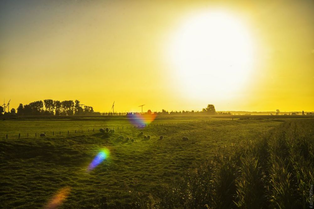 Dự báo thời tiết đêm nay và ngày mai 29 30 8 du bao thoi tiet dem nay va ngay mai 29 308