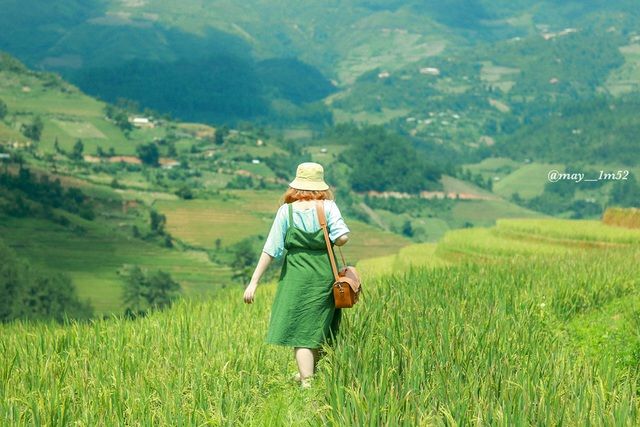 mu cang chai dep me dam mua lua moi