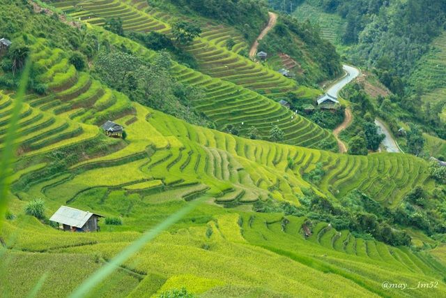 mu cang chai dep me dam mua lua moi