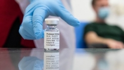 Các loại vaccine Covid-19 được cấp phép tại Việt Nam