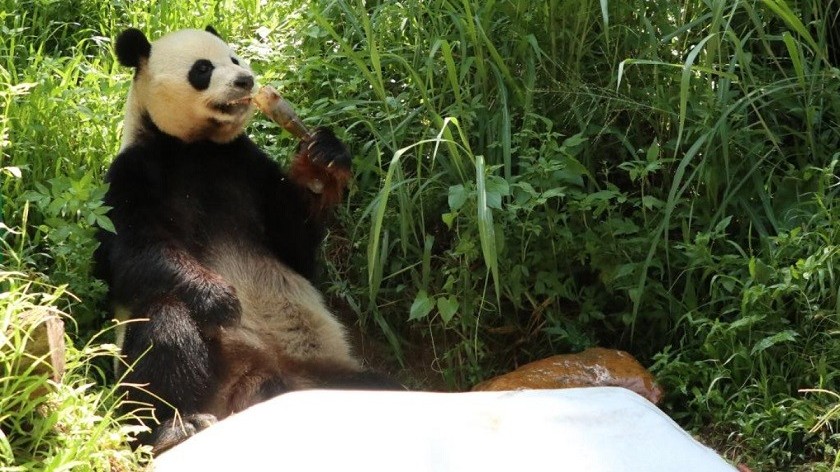 Trung Quốc cảnh báo về nắng nóng gay gắt và mưa lớn