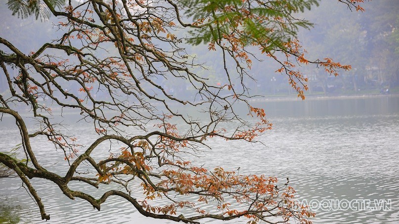 Dự báo thời tiết 10 ngày (21-30/10): Tin gió mùa Đông Bắc, Bắc Bộ sáng và đêm trời lạnh; Thanh Hóa đến Thừa Thiên Huế có mưa, có nơi mưa rất to