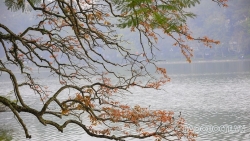 Dự báo thời tiết đêm nay và ngày mai (9-10/8): Hà Nội nắng 35 độ C; Đông Bắc Bộ, Thanh Hóa, Nghệ An chiều mưa to cục bộ; miền Nam mưa rải rác