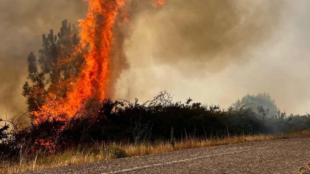 Châu Âu tìm giải pháp chiến lược nhằm chấm dứt trình trạng hạn hán