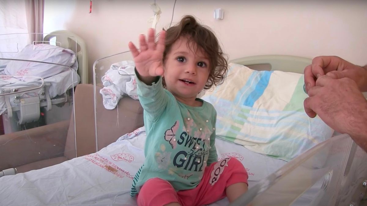 Bé gái 2 tuổi cắn chết con rắn 50 cm sau khi bị cắn vào môi Bé gái 2 tuổi cắn chết con rắn 50 cm sau khi bị cắn vào môi