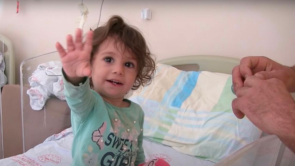 Bé gái 2 tuổi cắn chết con rắn 50 cm sau khi bị cắn vào môi