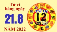 Tử vi hôm nay, xem tử vi 12 con giáp ngày 21/8/2022: Tuổi Hợi công việc tốt