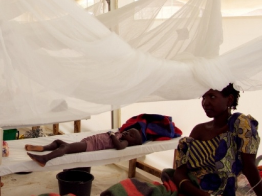 Nigeria: Dịch tả hoành hoành, 35 người thiệt mạng