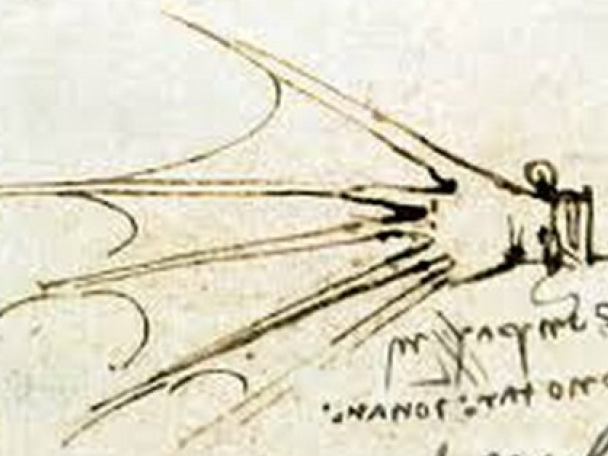 Thiết bị bơi lấy cảm hứng từ thiết kế của danh họa Leonardo da Vinci