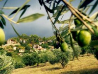 di tim hanh phuc o bhutan
