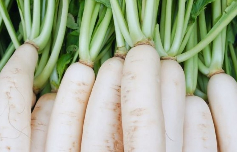 Lợi ích triệu người ngỡ ngàng từ “nhân sâm trắng”