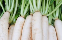 Lợi ích triệu người ngỡ ngàng từ “nhân sâm trắng”