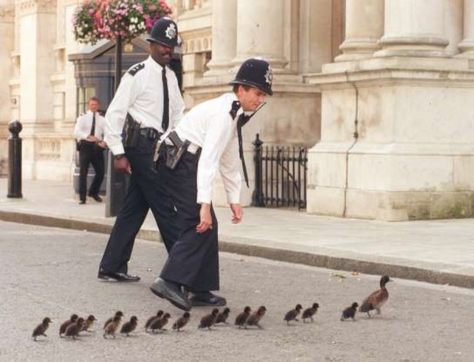 nhung hinh anh am ap chung minh long tot co o khap moi noi