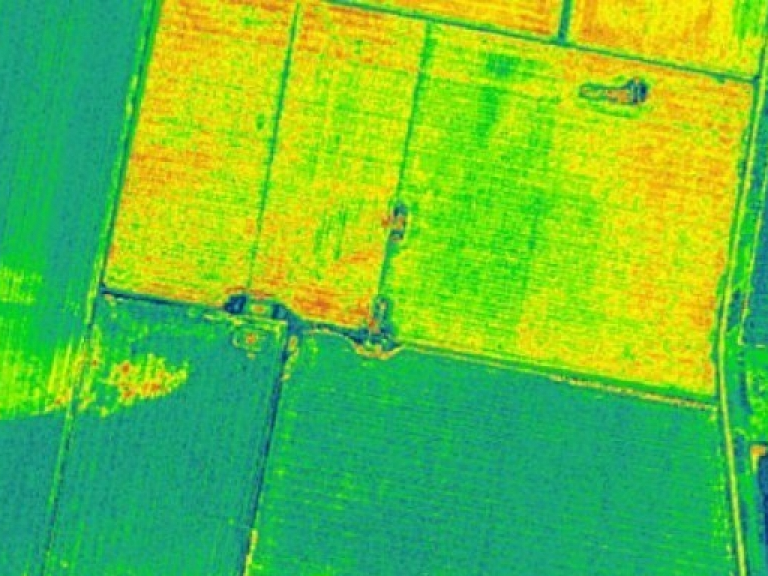 Bản đồ mùa màng đầu tiên trên thế giới từ hình ảnh vệ tinh