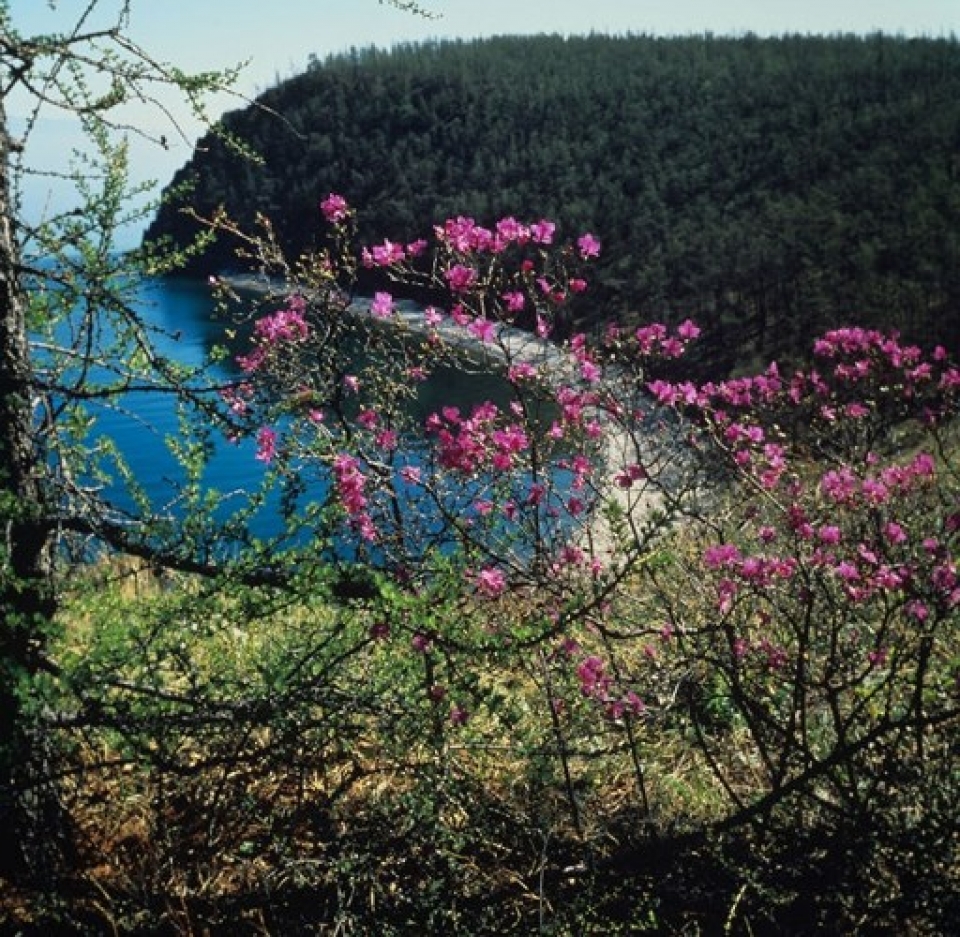 ve dep mat lanh trong vat cua ho baikal o siberia nga