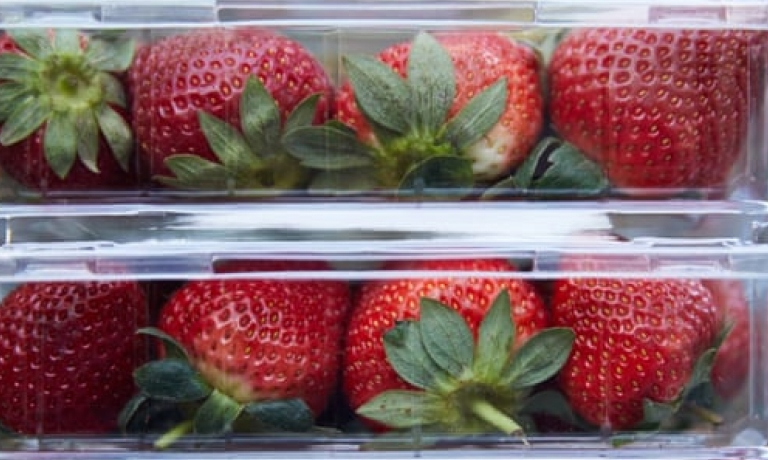 Australia tăng kiểm soát xuất khẩu dâu tươi sau sự cố kim khâu