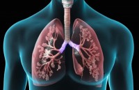 WHO: Lao vẫn là căn bệnh truyền nhiễm nguy hiểm nhất