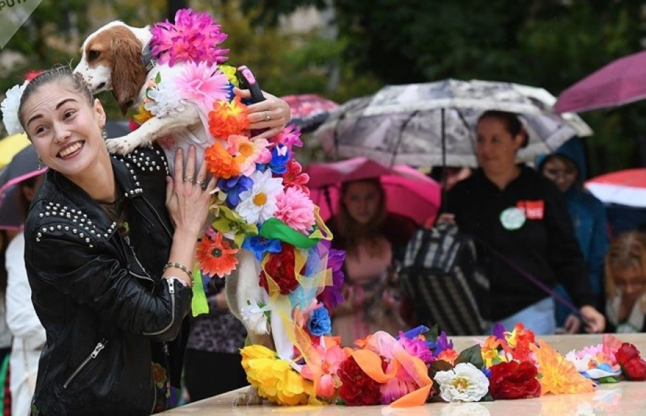 Ngắm cún cưng “sắm vai siêu mẫu” trình diễn tại Moscow