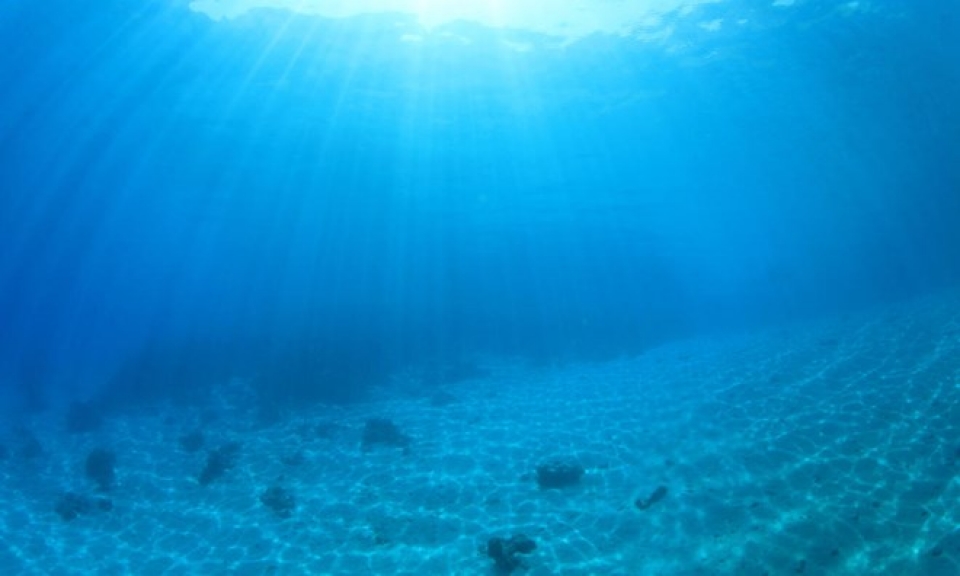 Sử dụng robot tìm hiểu nguồn khoáng sản dưới đáy đại dương su dung robot tim hieu nguon khoang san duoi day dai duong