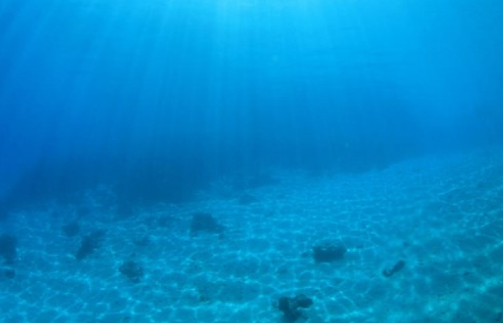 Sử dụng robot tìm hiểu nguồn khoáng sản dưới đáy đại dương