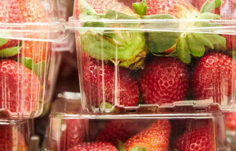 Sau Australia, dâu tây gắn kim nhọn xuất hiện ở New Zealand