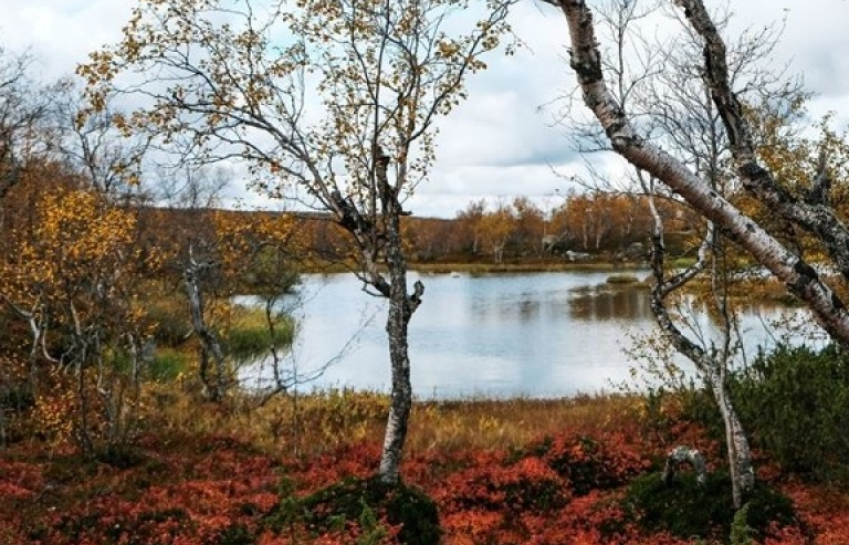 Cảnh đẹp ngọt ngào của vùng Murmansk nước Nga