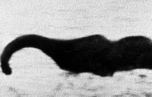 Quái vật hồ Loch Ness có thể là một con lươn khổng lồ