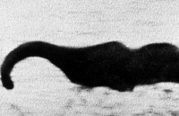 bi an quai vat ki di bac nhat lich su trai dat khi khong the xac dinh thuoc loai nao