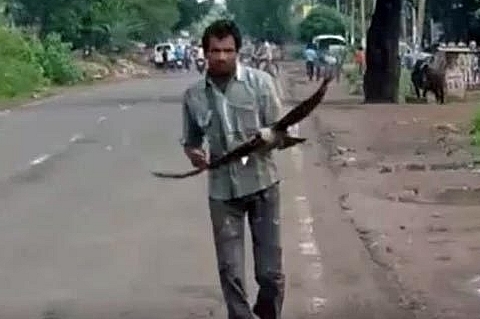 Ấn Độ: Người đàn ông bị bầy quạ bám đuổi trả thù suốt 3 năm