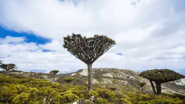 lac vao mien dat co lap voi the gioi nhu hanh tinh la