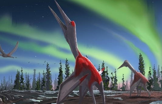 Phát hiện loài động vật bay lớn nhất mọi thời đại