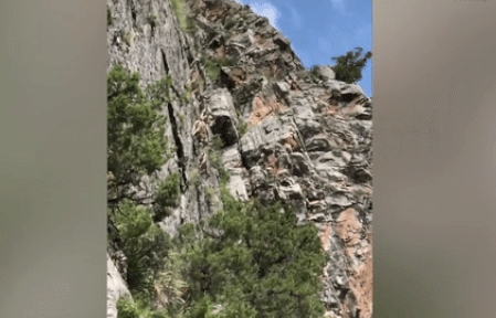 Video đàn cừu leo vách núi thẳng đứng thoăn thoắt như ‘người nhện’ gây sốt mạng xã hội hay một trò đùa?