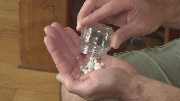 Ăn tối, phát hiện 48 viên ngọc trong một con hàu di an tiec nguoi dan ong phat hien 48 vien ngoc trong mot con hau