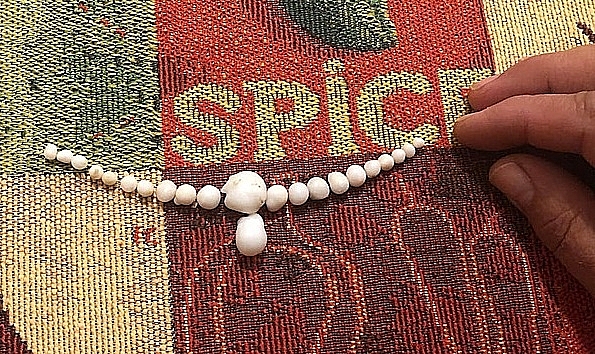 Ăn tối, phát hiện 48 viên ngọc trong một con hàu di an tiec nguoi dan ong phat hien 48 vien ngoc trong mot con hau