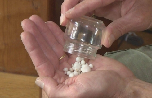 Ăn tối, phát hiện 48 viên ngọc trong một con hàu