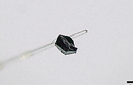 Phát hiện khoáng vật bí ẩn bên trong một viên kim cương Nam Phi