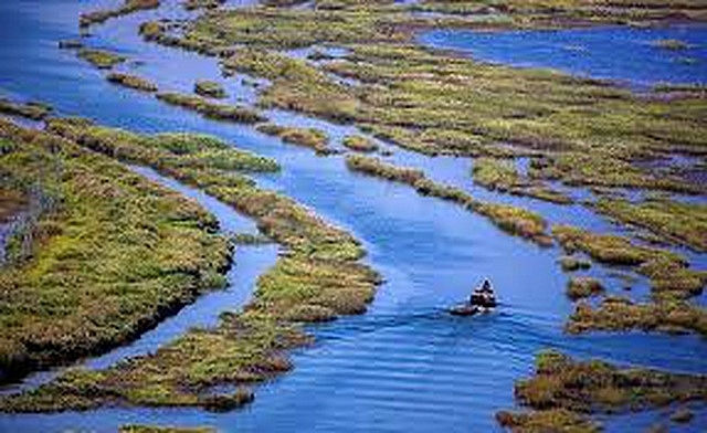 dao 1000 nam tuoi dot ngot lo ra giua long ho can nuoc