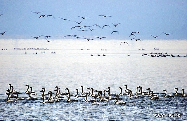 dao 1000 nam tuoi dot ngot lo ra giua long ho can nuoc