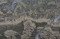 thai lan nhat rac vo tinh duoc tang da tri gia 15 ty dong