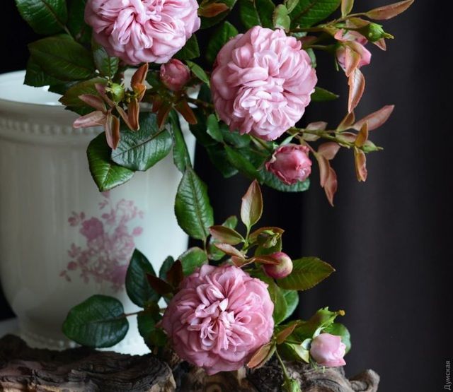 undefined 4036-nhung-bong-hoa-tuyet-dep-nhung-roi-la-vo-vun-docx-1598914862528