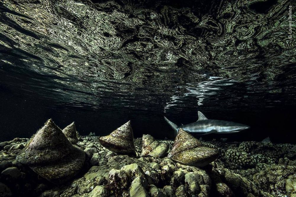 chiem nguong ve dep ky thu cua thien nhien hoang da