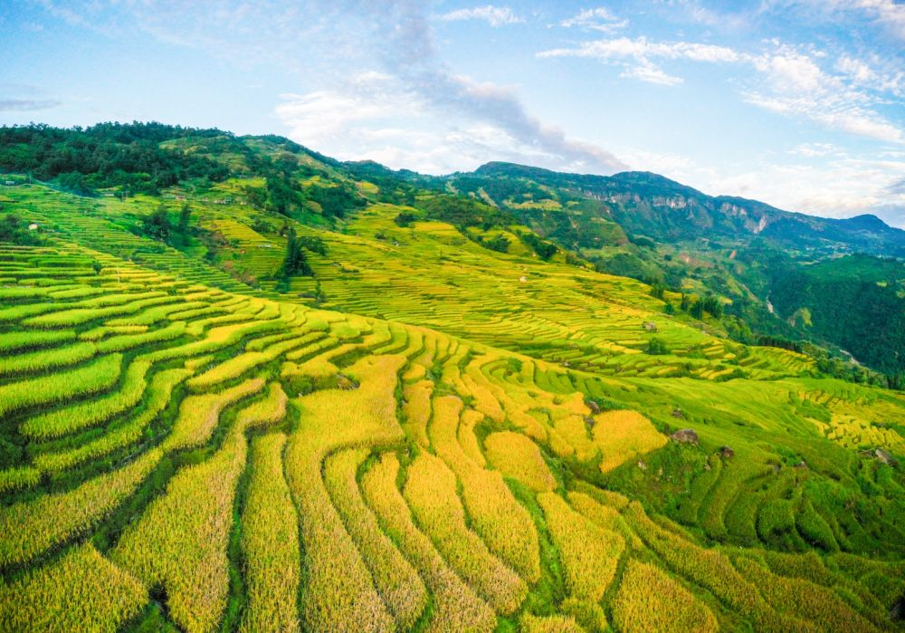 3302-mua-lua-chin-6-1599704573367