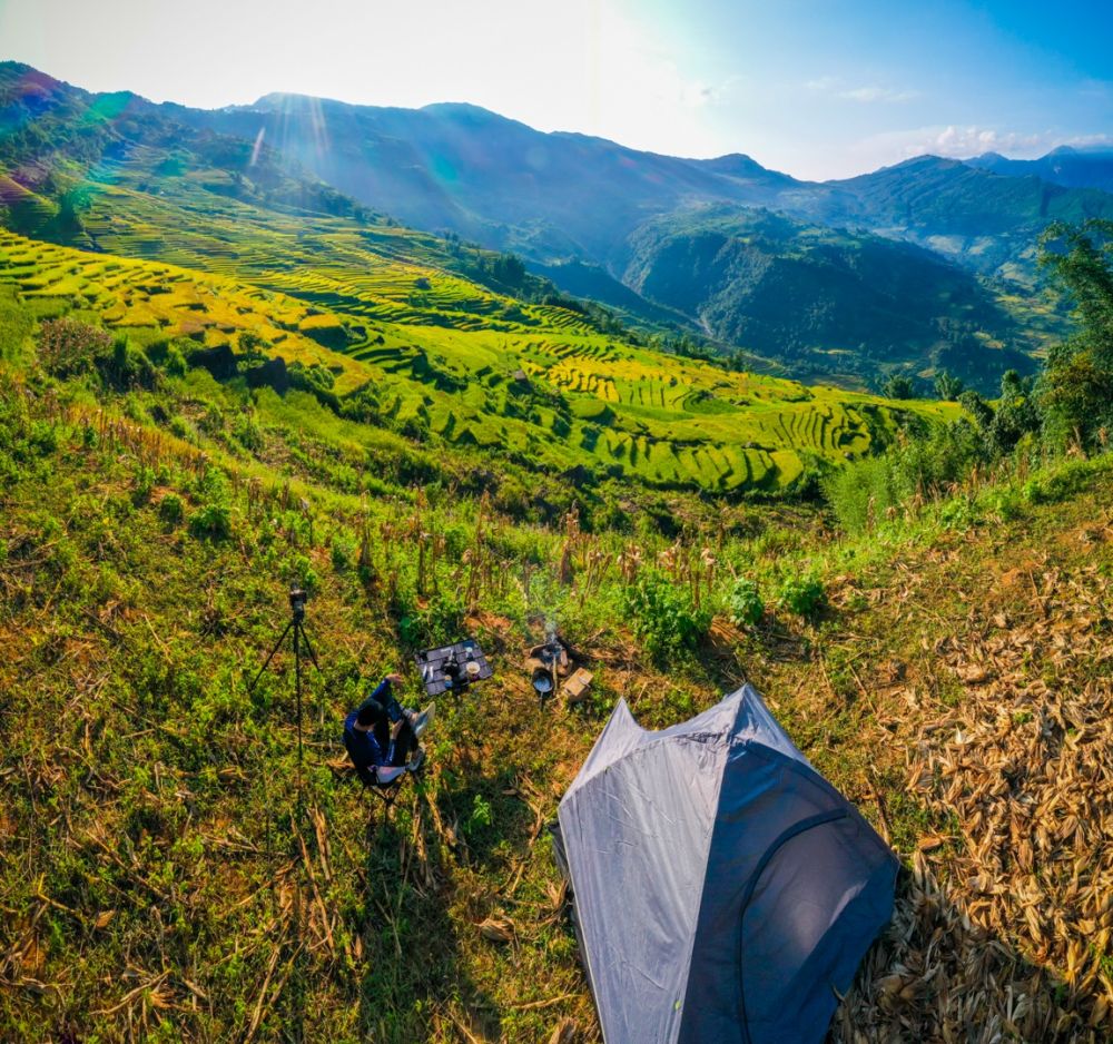 3546-mua-lua-chin-16-1599704572624